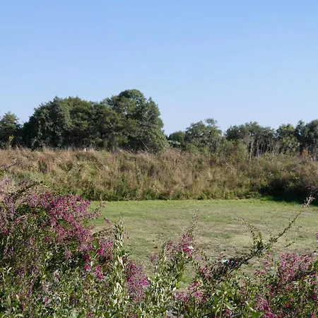 Sejour A La Campagne Pour 6 Commequiers