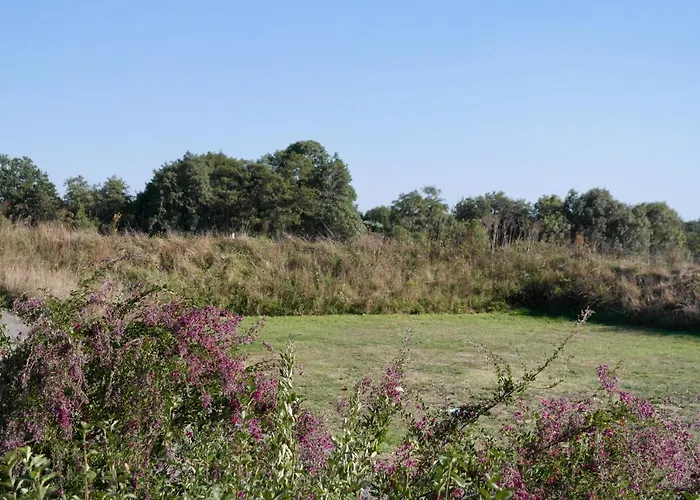 Sejour A La Campagne Pour 6 Commequiers